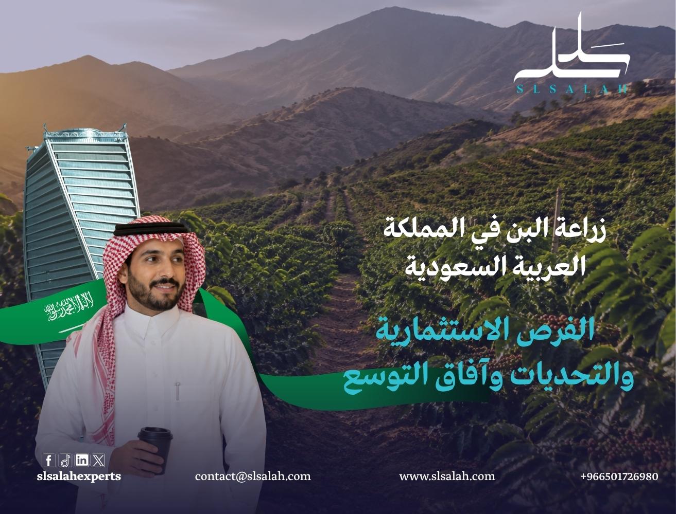 زراعة البن في المملكة العربية السعودية: الفرص الاستثمارية والتحديات وآفاق التوسع